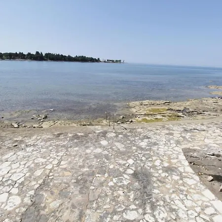 Istrian With Unique Sea View 2